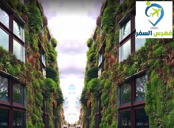 أنشطة متحف برانلي باريس