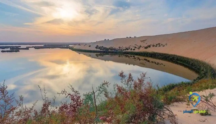 بحيرة الأصفر الأحساء