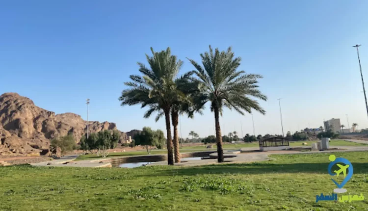 الحدائق والأشجار في حديقة السلام حائل