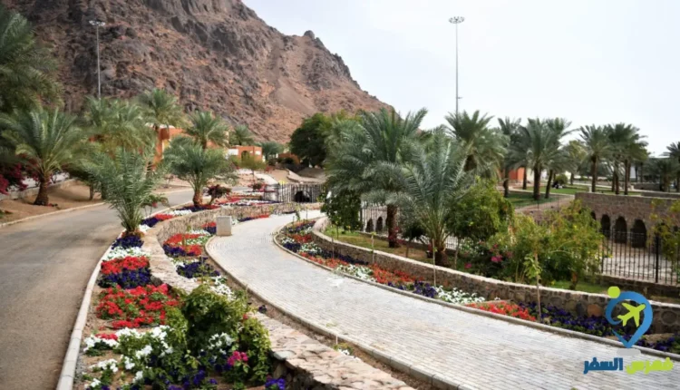 إحدى أفضل منتزهات المدينة المنورة 
