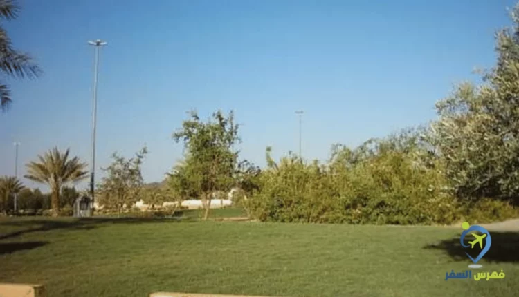 صورة من داخل منتزه الأمير سلطان حائل