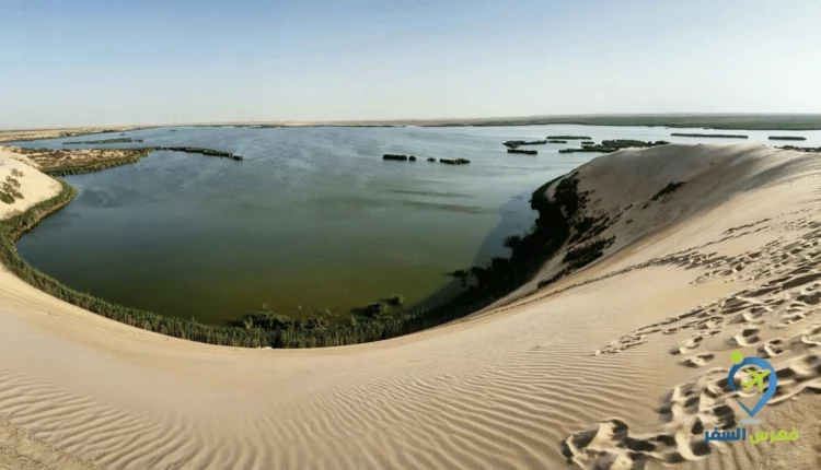 صورة لبحيرة الأصفر في الاحساء