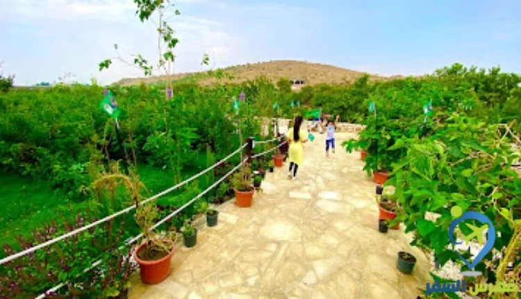 صورة داخلية من غيوم الهدا
